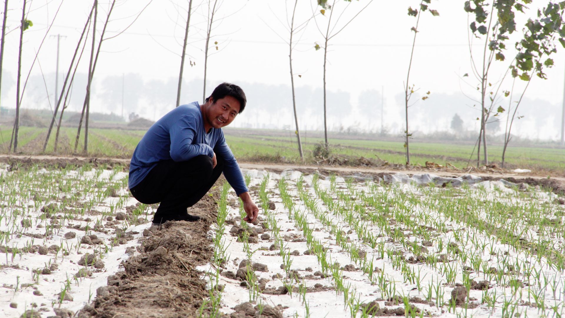 Un coltivatore di aglio controlla il suo raccolto nell'ambito di un progetto di introduzione delle pratiche di agricoltura rigenerativa con il supporto di Pur e Unilever in Cina.